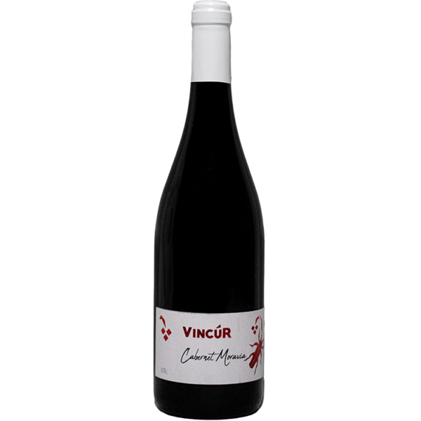 Cabernet moravia 2020